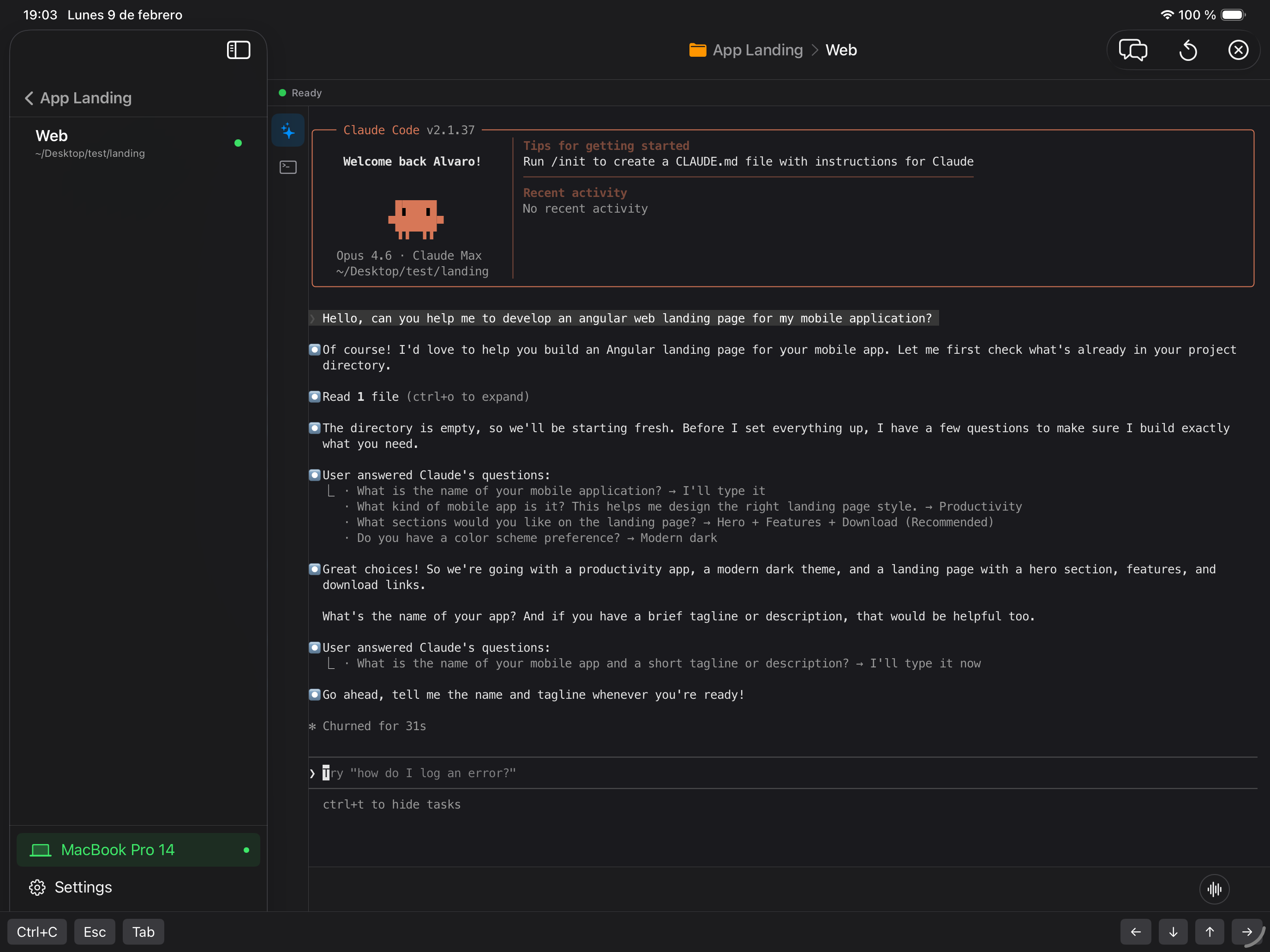 KoeCode iPad - CLI view